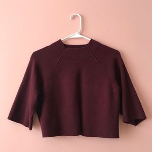 Woman’s thick burgundy crop top